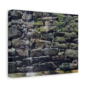 Nature-Inspired Stretched Canvas Wall Art