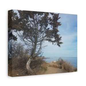 Canvas Wall Art - Coastal Tree Scene